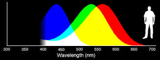 Human eye wavelength sensitivity